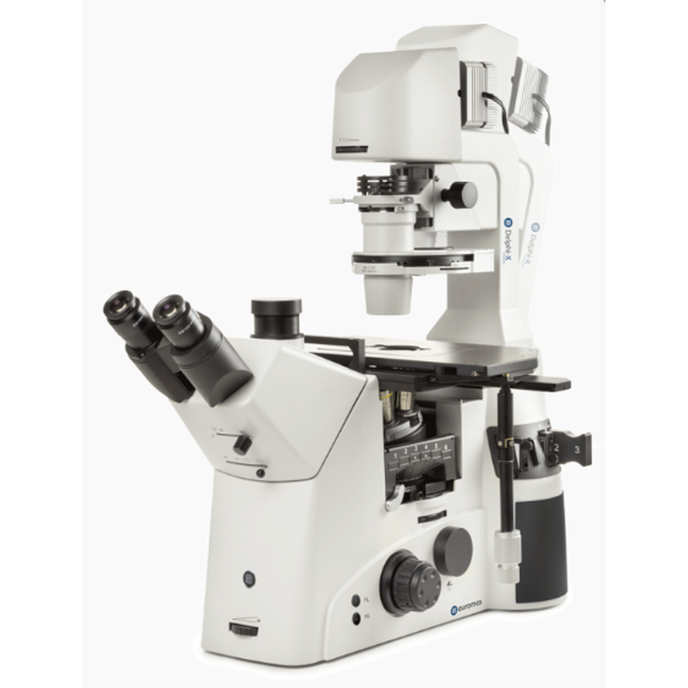 Inverted Microscope(Delphi-X Inverso)